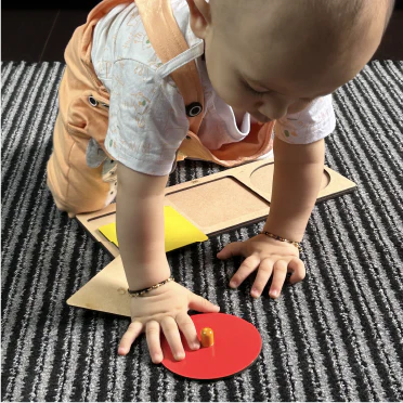Montessori Animal Puzzle Pack | Set of 12 | Boost Motor Skills