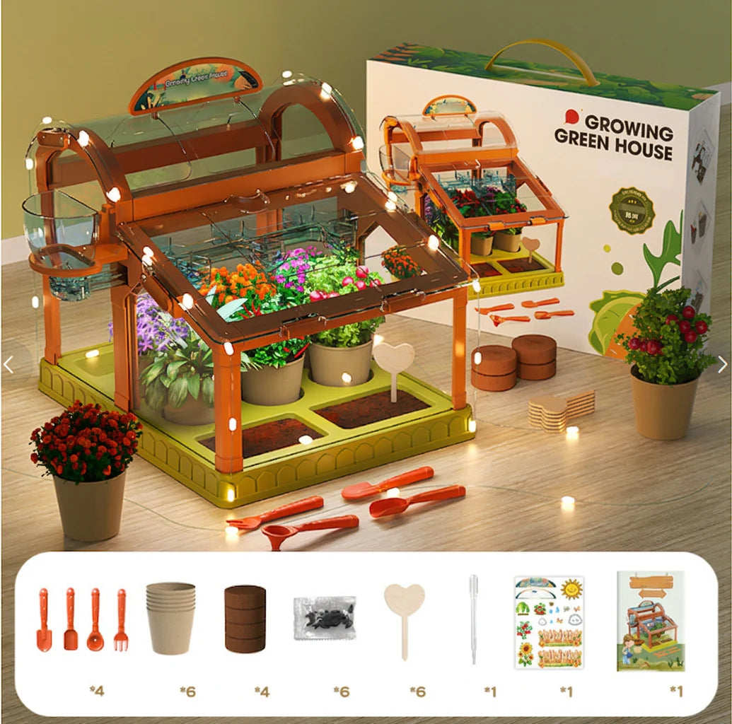 Acrylic Kids Greenhouse – Indoor Plant Growing Kit for Learning & Fun